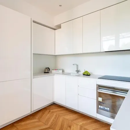 Luxury Apartment Rom